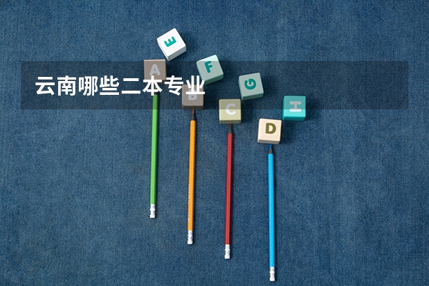 云南哪些二本专业