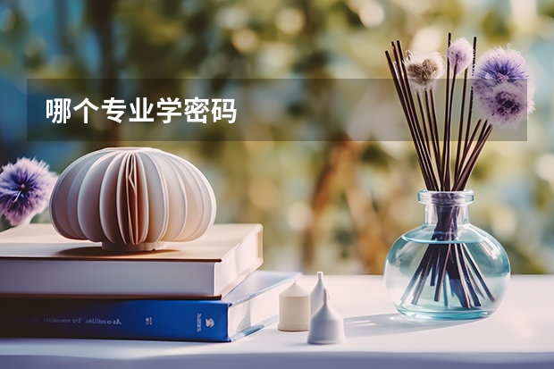 哪个专业学密码