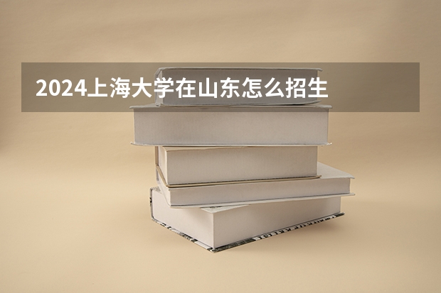 2024上海大学在山东怎么招生