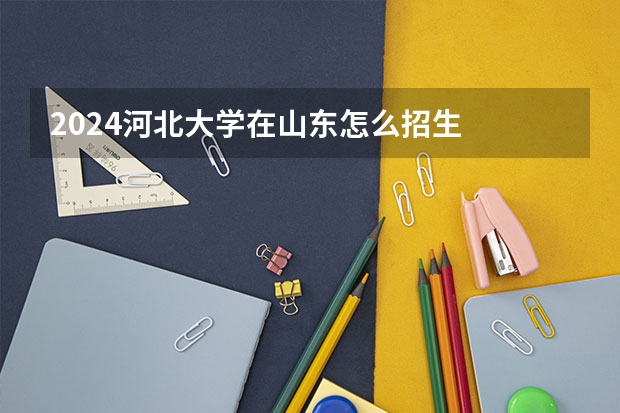 2024河北大学在山东怎么招生