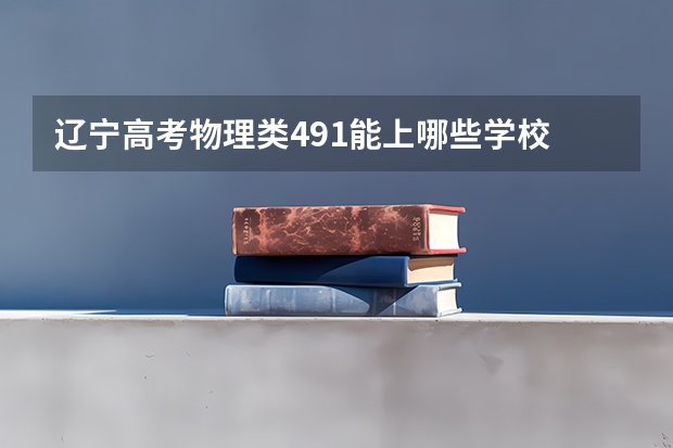 辽宁高考物理类491能上哪些学校