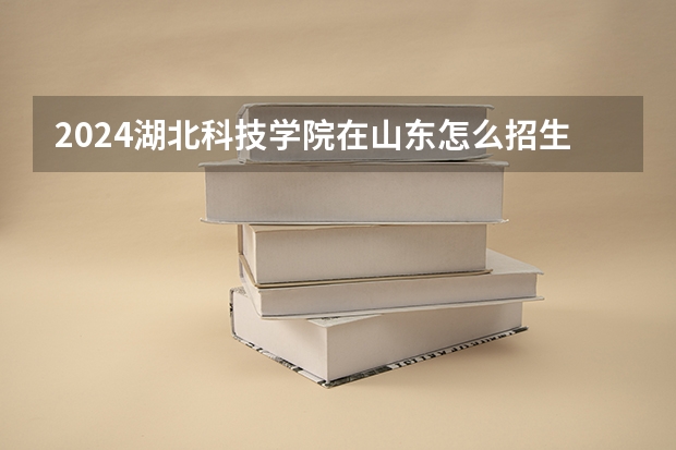2024湖北科技学院在山东怎么招生