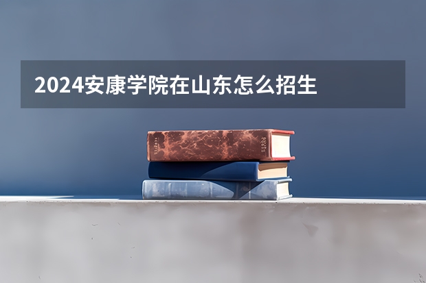 2024安康学院在山东怎么招生