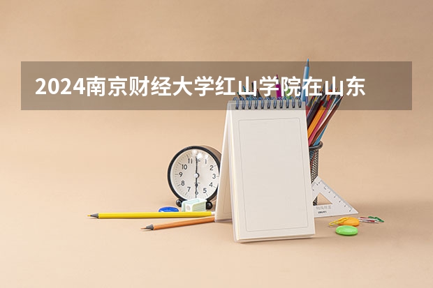 2024南京财经大学红山学院在山东怎么招生