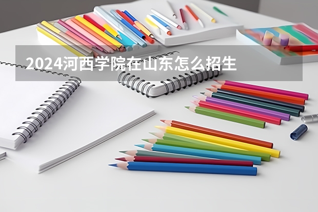 2024河西学院在山东怎么招生