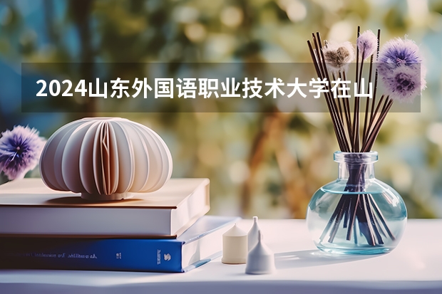 2024山东外国语职业技术大学在山东怎么招生