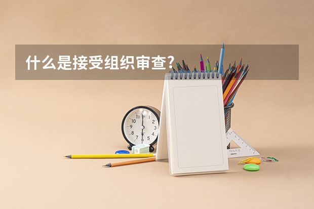 什么是接受组织审查?