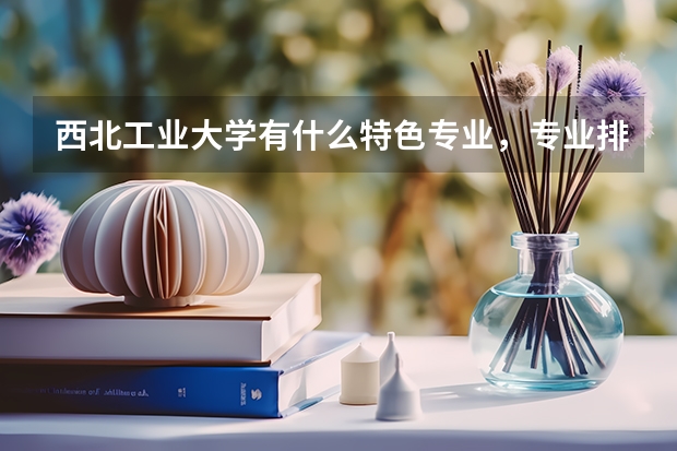 西北工业大学有什么特色专业，专业排名如何？