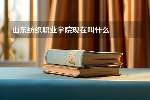山东纺织职业学院现在叫什么