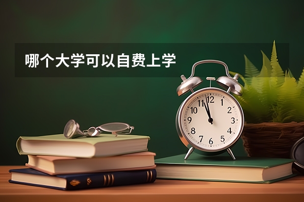 哪个大学可以自费上学