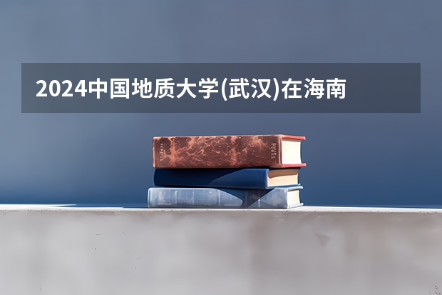 2024中国地质大学(武汉)在海南招生计划如何