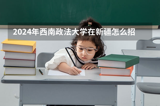 2024年西南政法大学在新疆怎么招生