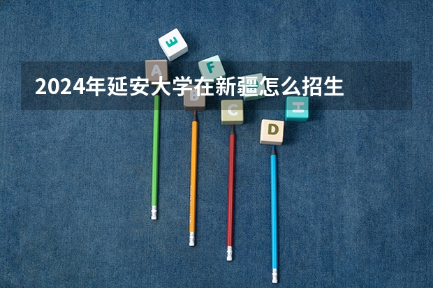 2024年延安大学在新疆怎么招生