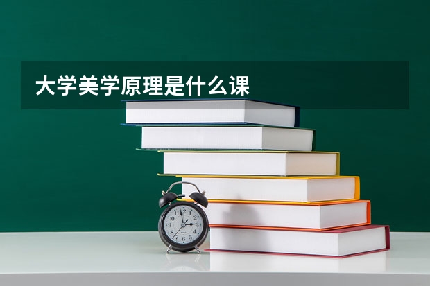 大学美学原理是什么课