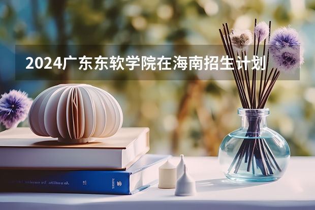 2024广东东软学院在海南招生计划如何