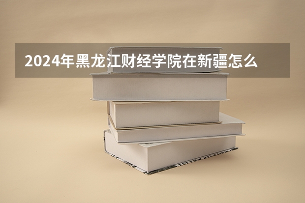 2024年黑龙江财经学院在新疆怎么招生