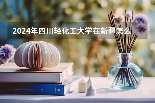 2024年四川轻化工大学在新疆怎么招生