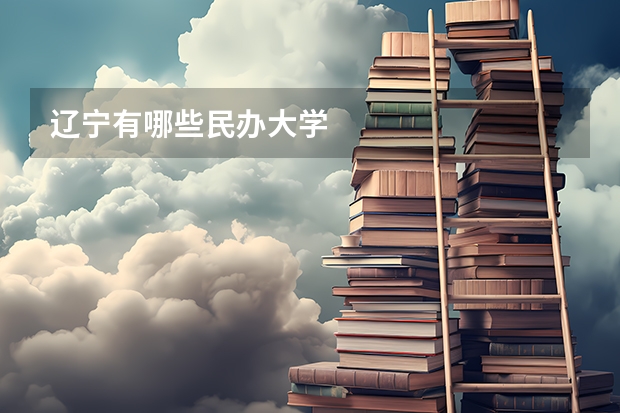 辽宁有哪些民办大学