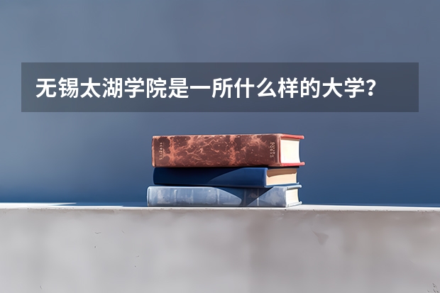 无锡太湖学院是一所什么样的大学？