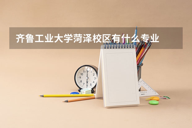 齐鲁工业大学菏泽校区有什么专业