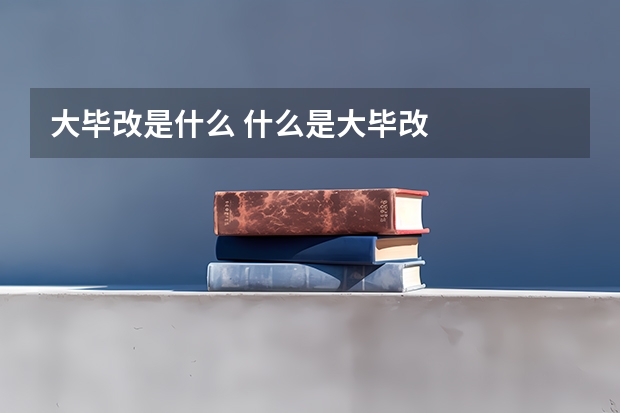 大毕改是什么 什么是大毕改