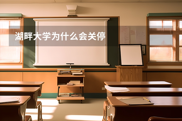 湖畔大学为什么会关停