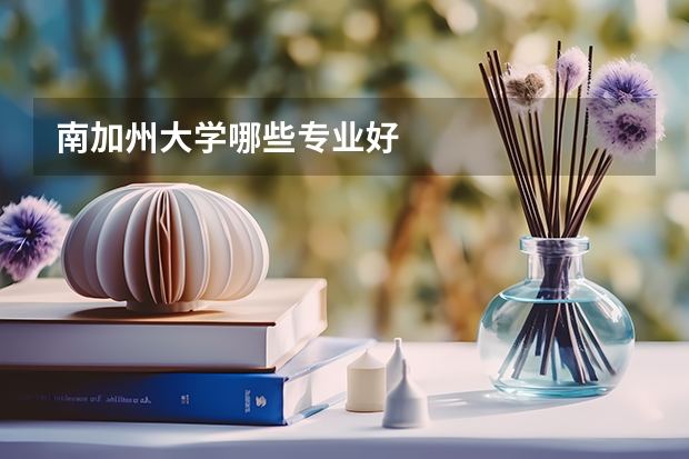 南加州大学哪些专业好