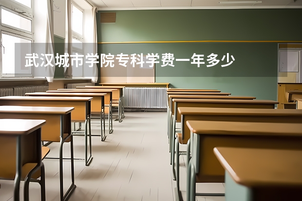 武汉城市学院专科学费一年多少