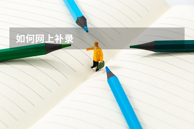 如何网上补录