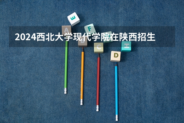 2024西北大学现代学院在陕西招生方案