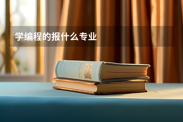 学编程的报什么专业
