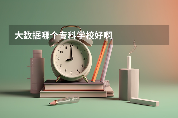 大数据哪个专科学校好啊
