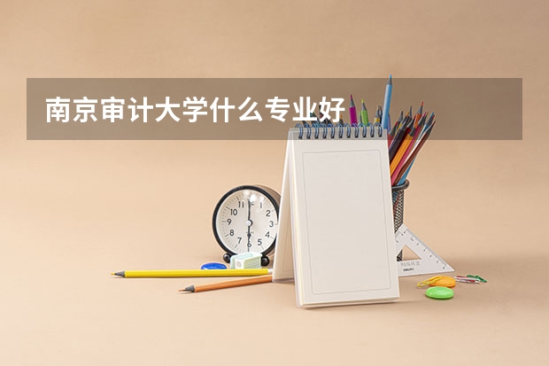 南京审计大学什么专业好