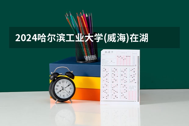 2024哈尔滨工业大学(威海)在湖南怎么招生的