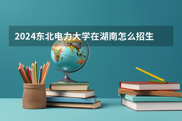 2024东北电力大学在湖南怎么招生的
