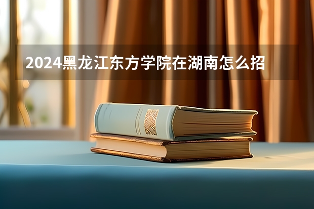 2024黑龙江东方学院在湖南怎么招生的
