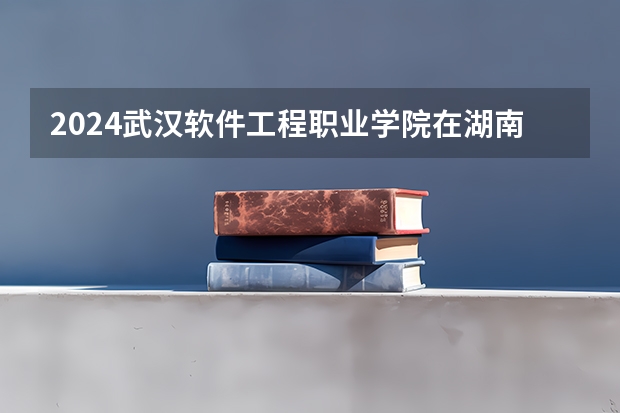 2024武汉软件工程职业学院在湖南怎么招生的