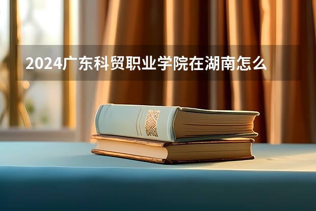 2024广东科贸职业学院在湖南怎么招生的