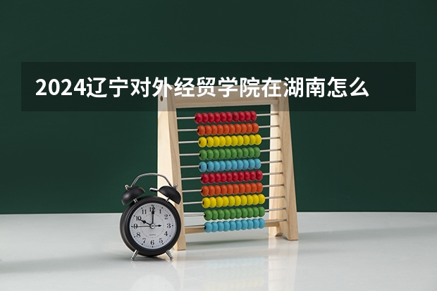 2024辽宁对外经贸学院在湖南怎么招生的