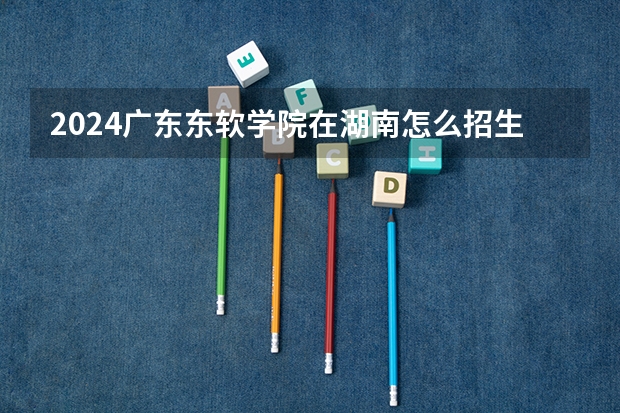 2024广东东软学院在湖南怎么招生的