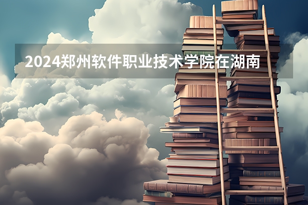 2024郑州软件职业技术学院在湖南怎么招生的