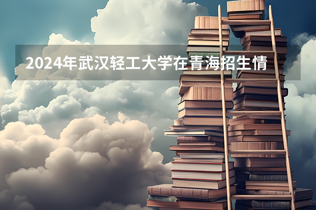 2024年武汉轻工大学在青海招生情况