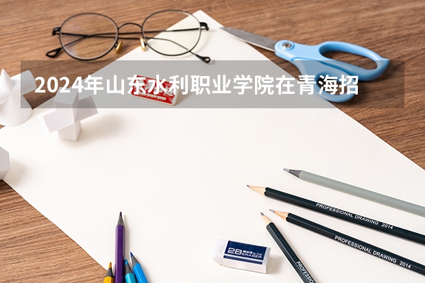 2024年山东水利职业学院在青海招生情况