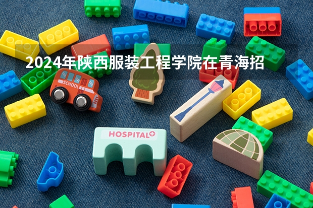 2024年陕西服装工程学院在青海招生情况