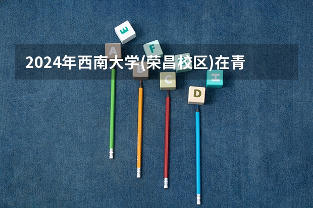 2024年西南大学(荣昌校区)在青海招生情况