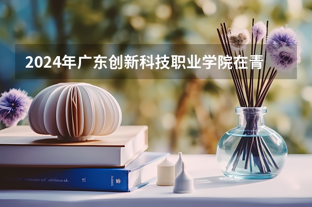 2024年广东创新科技职业学院在青海招生情况