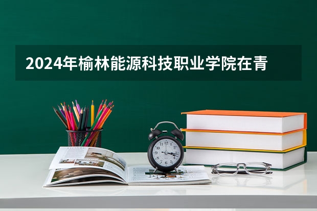 2024年榆林能源科技职业学院在青海招生情况