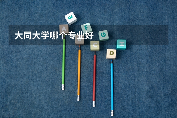 大同大学哪个专业好