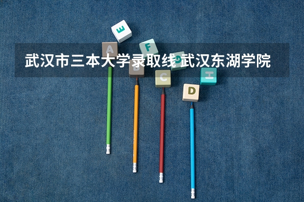 武汉市三本大学录取线 武汉东湖学院是几类
