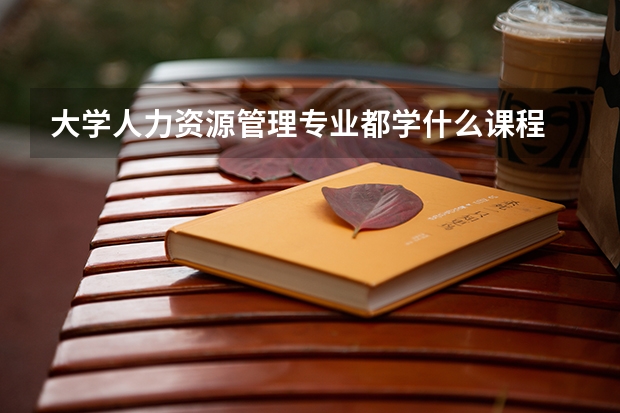 大学人力资源管理专业都学什么课程